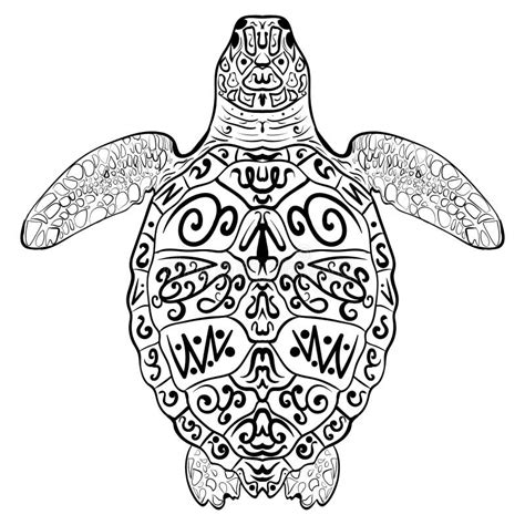 Zentangle Turtle Line Drawing For Coloring Book Page Stock Illustration