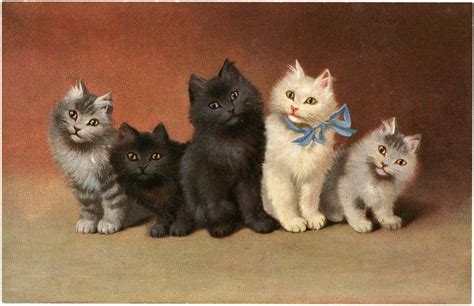 15 Beautiful Vintage Kitten And Cat Pictures In 2020 Cats And