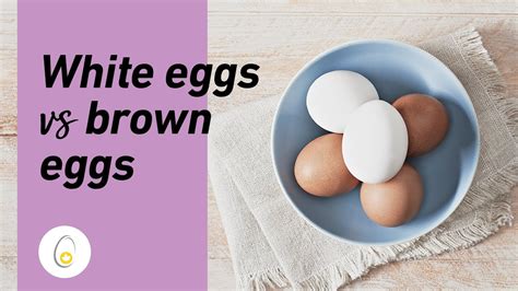 The Difference Between White And Brown Eggs Youtube