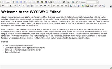 Introduction To The WYSIWYG Editor
