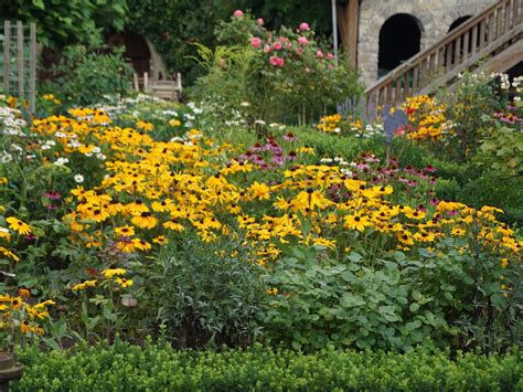 Kräuter lassen sich ebenso gut in kästen, blumenampeln, töpfen und kübeln auf balkon oder terrasse ziehen wie draußen im garten. Wildkräuter im Garten und Kochen mit Wildkräutern