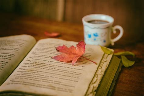 Autumn Coffee Books Wallpapers Top Free Autumn Coffee Books