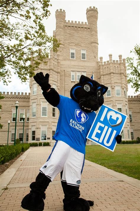 Eiu Housing Our Beloved Billy The Panther Was First Facebook
