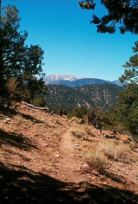 San Bernardino Mountains Land Trust Our Preserved Lands