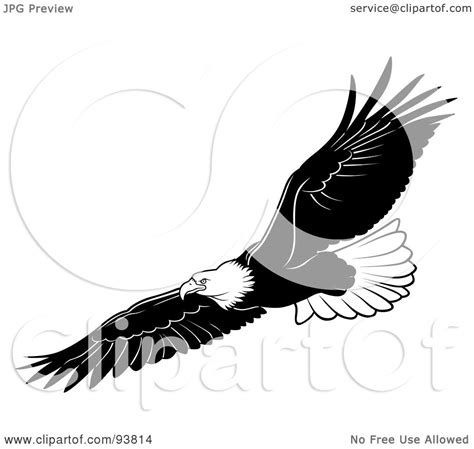 Free png download black flying eagle png images background. Royalty-Free (RF) Clipart Illustration of a Black And ...