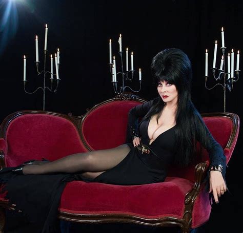 Pin By Jason Ludy On Elvira Mistress Of The Dark Elvira Movies