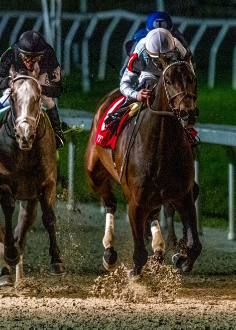 Brian Nadeaus Road To The Triple Crown 2020 The Louisiana Derby