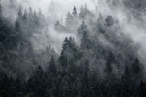 Misty Mountain Landscape Featuring Forest Fog And Travel High