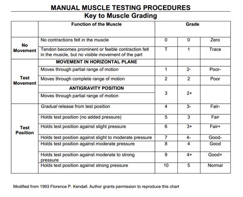 Manual Muscle Testing Grading Chart Florence Kendall Muscles