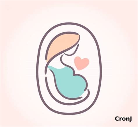 How To Develop A Pregnancy Tracker App Cronj