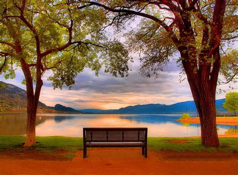 Lovely View Bench Lonely Sunrise Lake Reflection Trees View