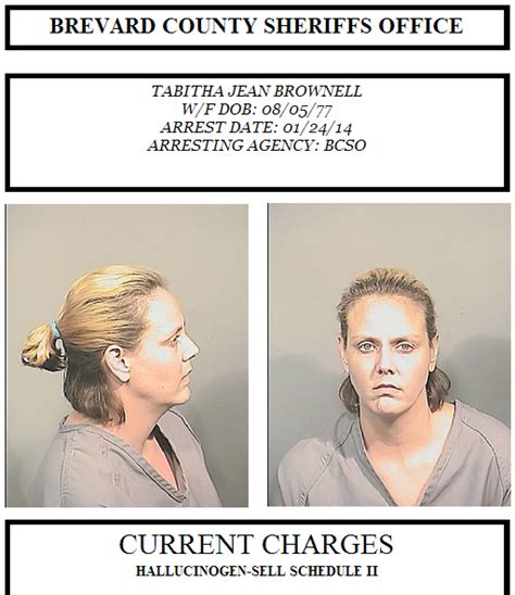 arrests in brevard county for jan 25 2014 space coast daily