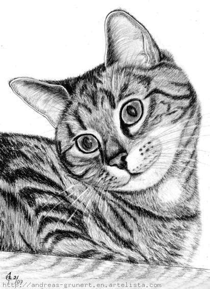 9 Bonitos Dibujos A Lápiz Gatos Dibujos A Lapiz
