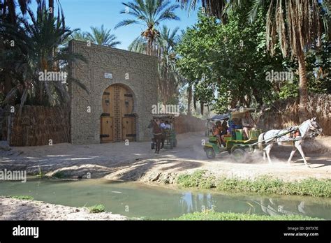 Tourists Driving In A Carriage Through The Biggest Tunisian Oasis That