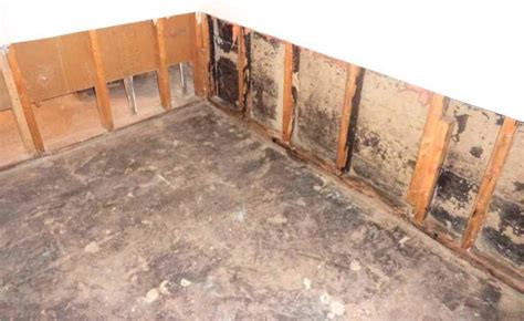 We work hard to make products that are beautifully designed, fun to use, and add real value to its user's life. Basement Waterproofing - Basement Waterproofing in ...