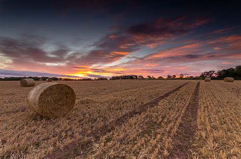 Hd Wallpaper Hay Bales Green Rolled Haystack Photography 1920x1200