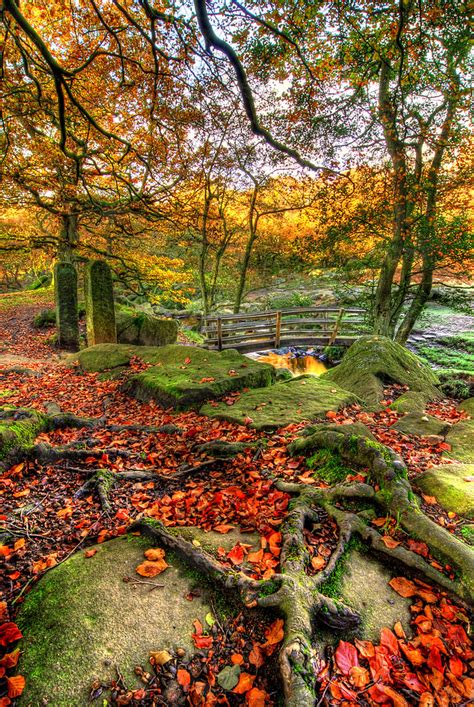 Autumn Bridge Derbyshire England Photo On Sunsurfer