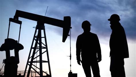 Ingeniería De Petróleo ¿qué Es Cuanto Dura Y Más