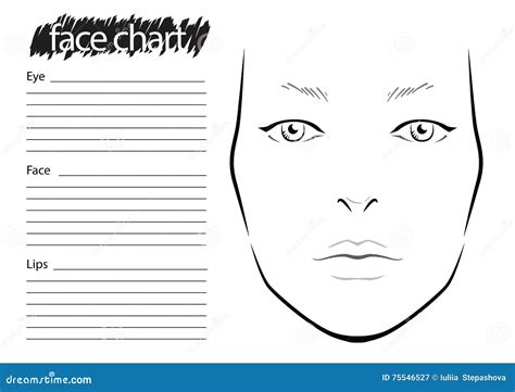 Face Chart Makeup Artist Blank Template High Res Vector Graphic Getty