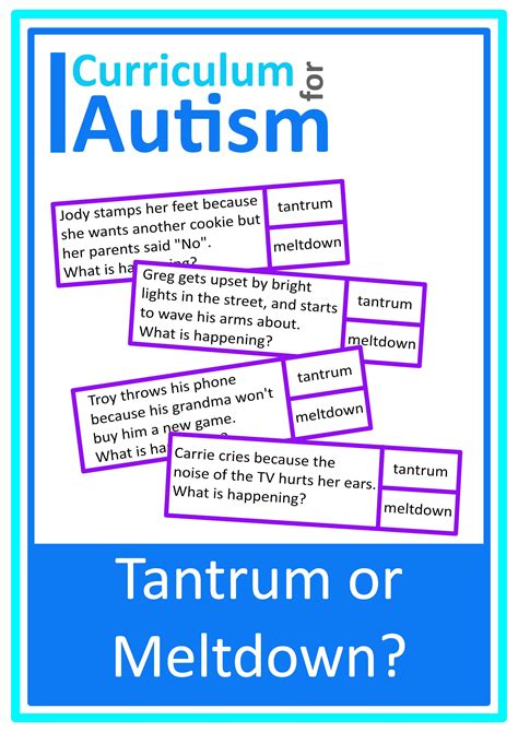 Autism Tantrum Or Meltdown Cards Behavior Lessons Special Education