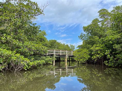 Paddling To St Lucie Inlet Preserve State Park From Cove Road Park