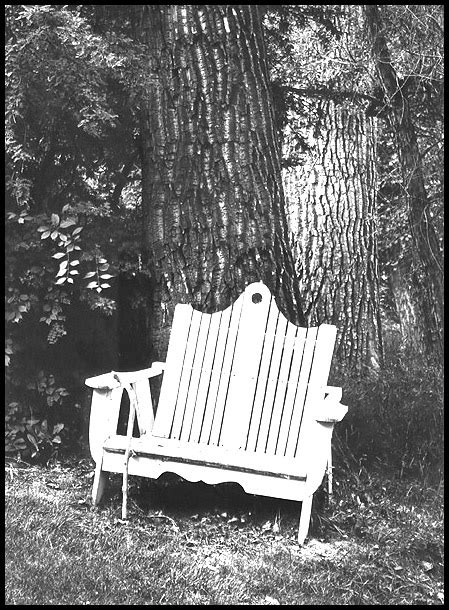 Chair In The Woods
