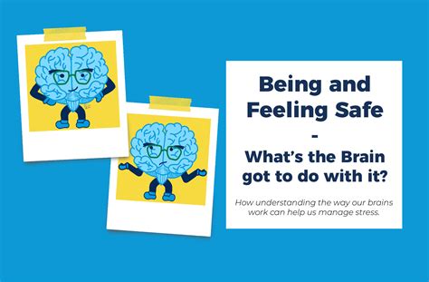 Being And Feeling Safe Whats The Brain Got To Do With It Sfac Site