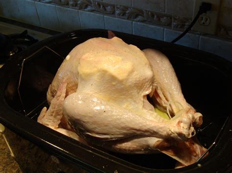 How To Cook A Turkey in a Roaster Oven - Women Living Well
