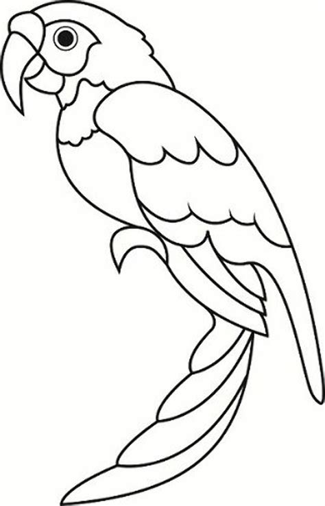 Download High Quality Parrot Clipart Outline Transparent Png Images