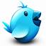 Twitter Buttons  PMA Web Services LLC