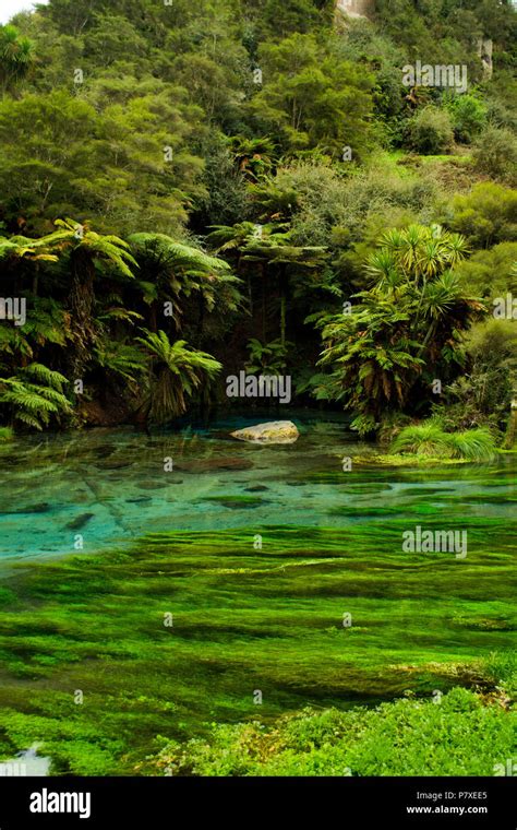 Crystal Clear River Flowing With Spring Water Stock Photo Alamy