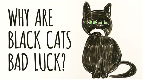 Why Are Black Cats Considered Bad Luck Youtube