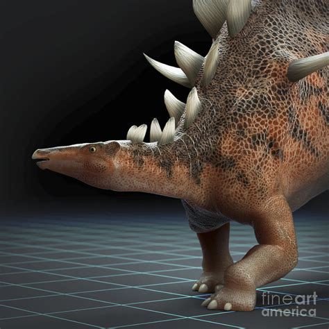 Thanks to the compatibility of dinosaurs, you'll be able to mix different species in jurassic world evolution. Dinosaur Kentrosaurus Photograph by Science Picture Co