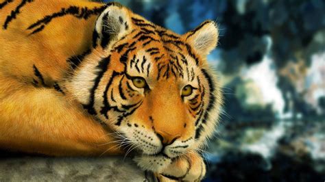 10 Amazing Animals Tiger Hd Wallpapers High Definiton Wallpaper