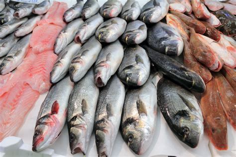 How To Buy Fresh Fish Online In Qatar The Life Pile