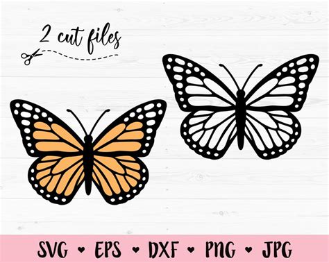 Butterfly SVG Monarch Butterfly Cut File Butterflies Outline - Etsy