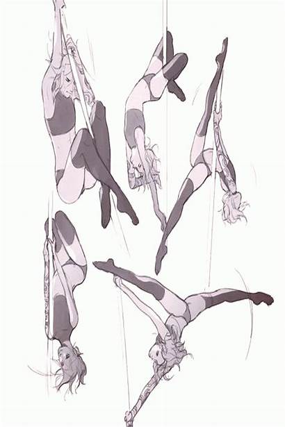 Reference Pole Dancing Poses Anatomy Human Drawing