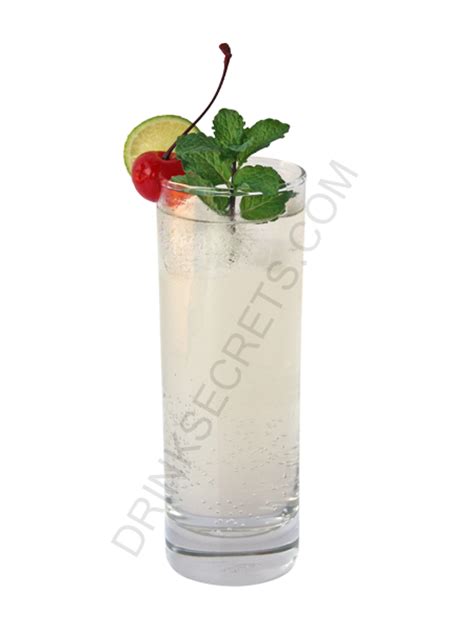 Mint Collins Drink Recipe All The Drinks Have Pictures