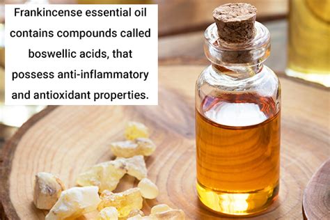 10 Most Popular Essential Oils And Their Health Benefits