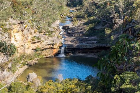 Top 5 Swimming Holes Near Sydney Pioneer Walks