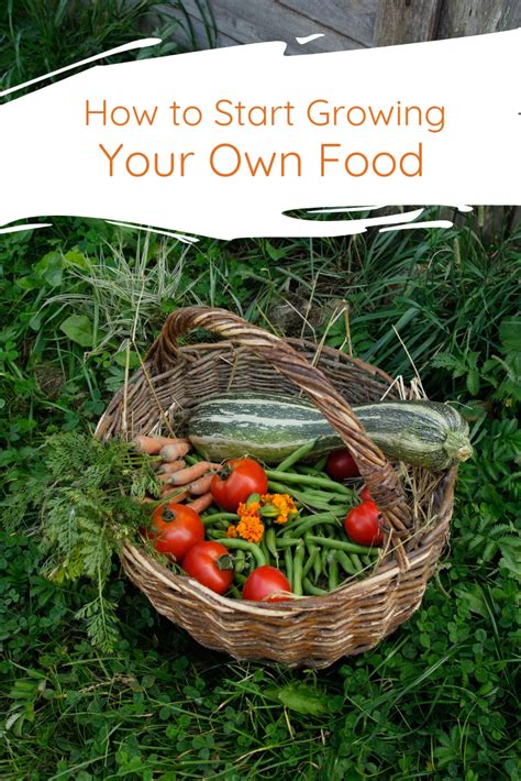 How to grow your own food without a garden. Article headline | Grow your own food, Homegrown food ...