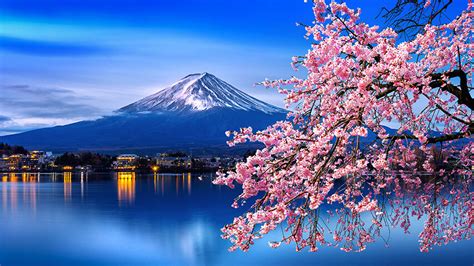 Fuji Mountain And Cherry Blossoms In Spring Japan Go Next