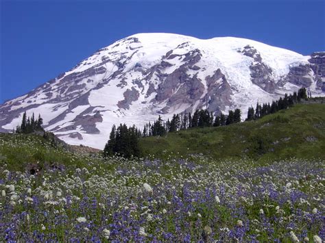 Us Congress Creates Mount Rainier National Park On March