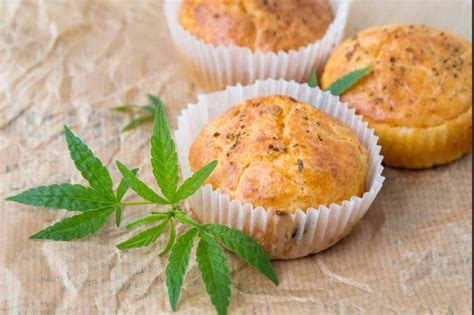 4 Things To Know Before Trying Edibles With Weed Melanom