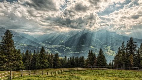 Online Crop Pine Trees And Mountains Landscape Sun Rays Nature