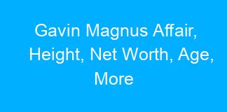 Gavin Magnus Affair Height Net Worth Age More