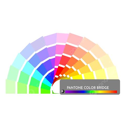 Vector Of Pantone Color With Ten Colors Pantone Color Color Chart