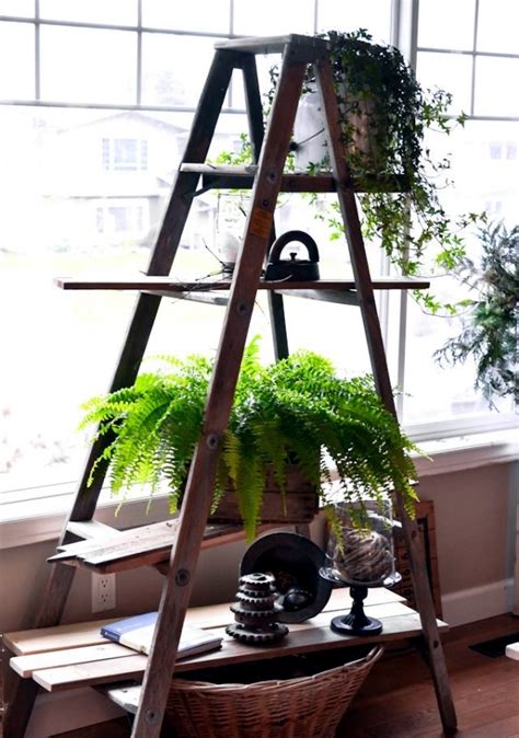 To make an old wooden ladder. Develop Planter - Old wooden ladder as leaders of the ...