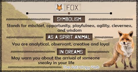 Fox Meaning And Symbolism The Astrology Web