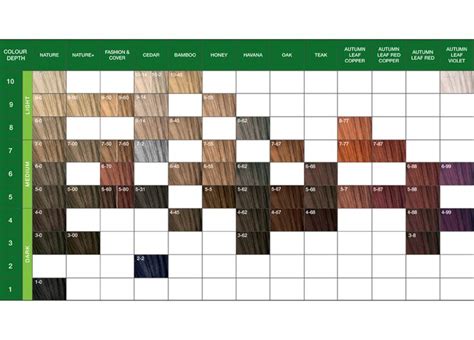 Schwarzkopf Professional Hair Color Chart